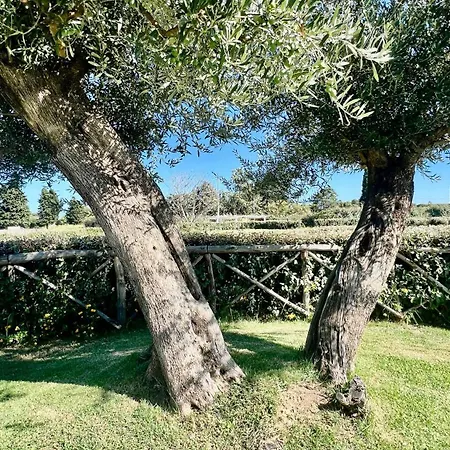D'ogliastra 2 - Marina 4*