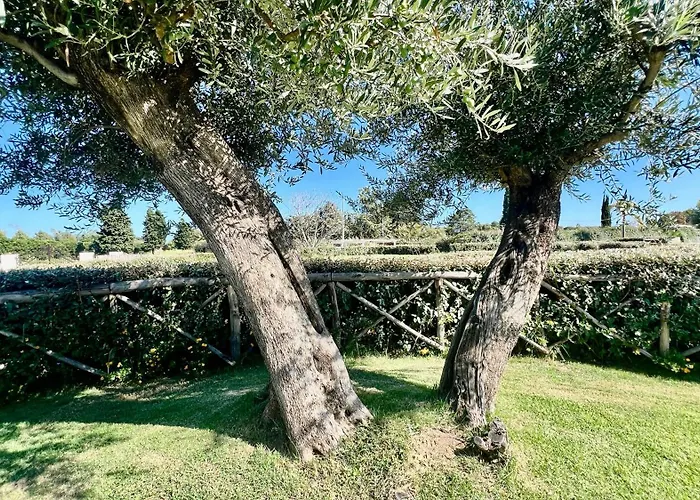 D'ogliastra 2 - Marina 4*